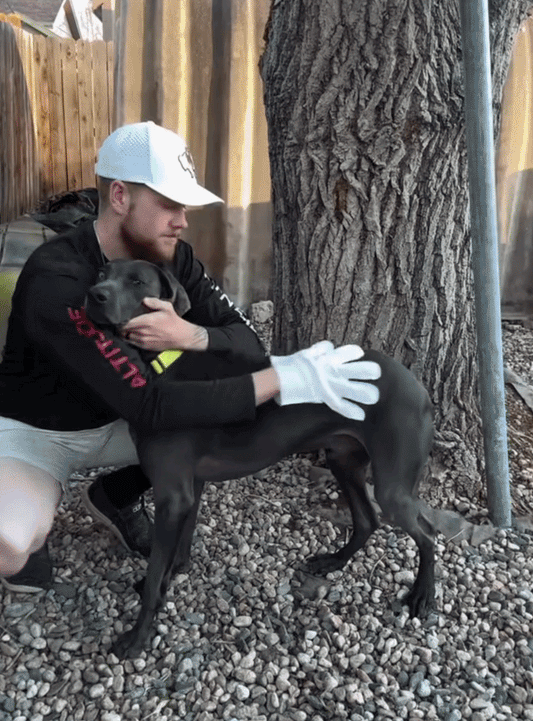 PawClean™ Pet Glove Cleaning Wipes