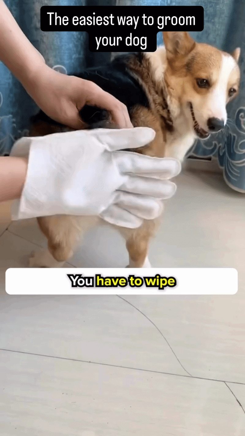 PawClean™ Pet Glove Cleaning Wipes