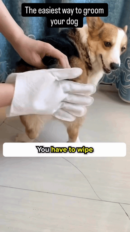 PawClean™ Pet Glove Cleaning Wipes