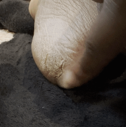 Veloura™ SmoothPro