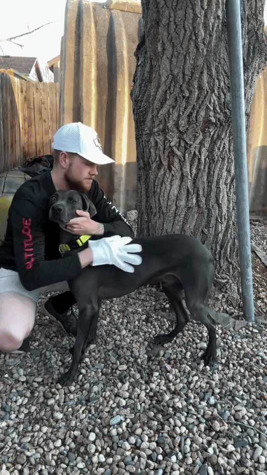 PawClean™ Pet Glove Cleaning Wipes